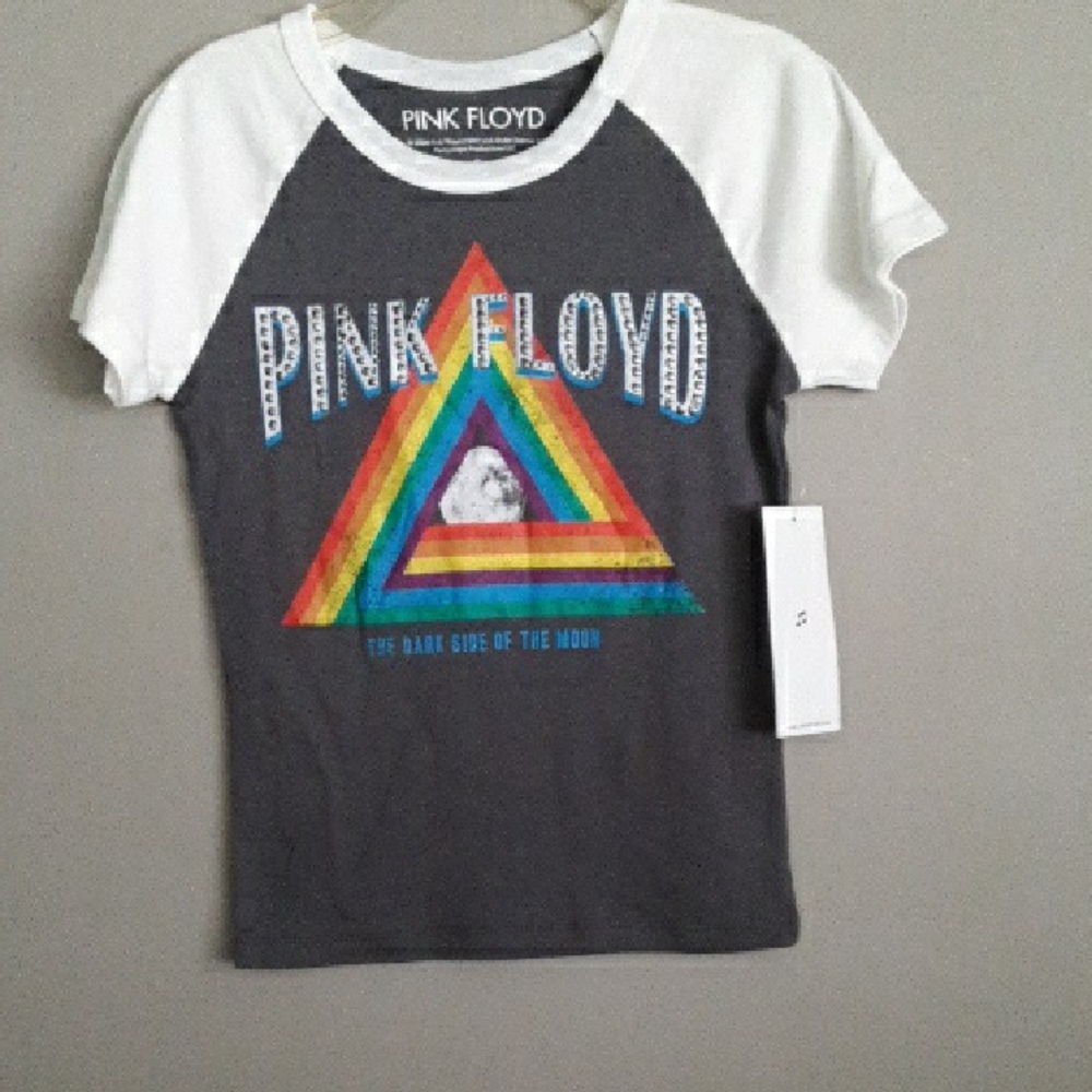 Pink Floyd Kids Raglan Tee - Gray and White